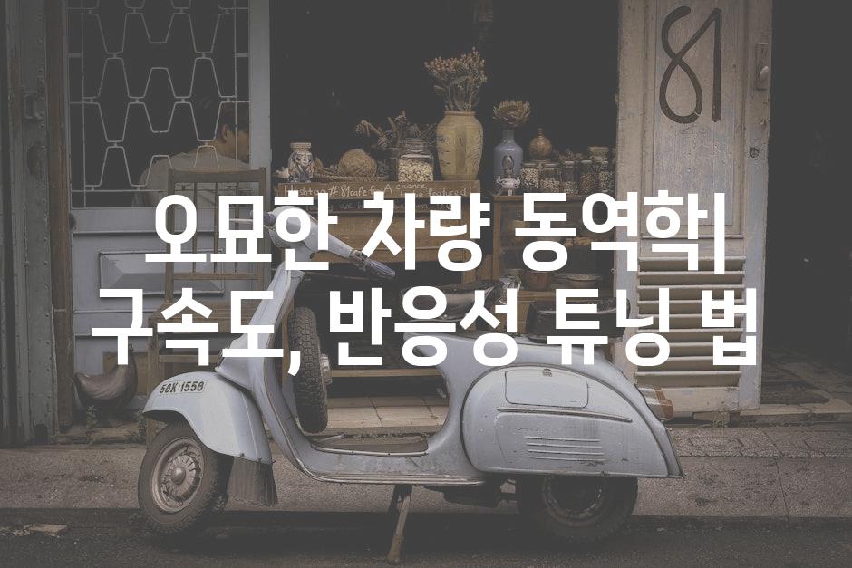  오묘한 차량 동역학| 구속도, 반응성 튜닝 법