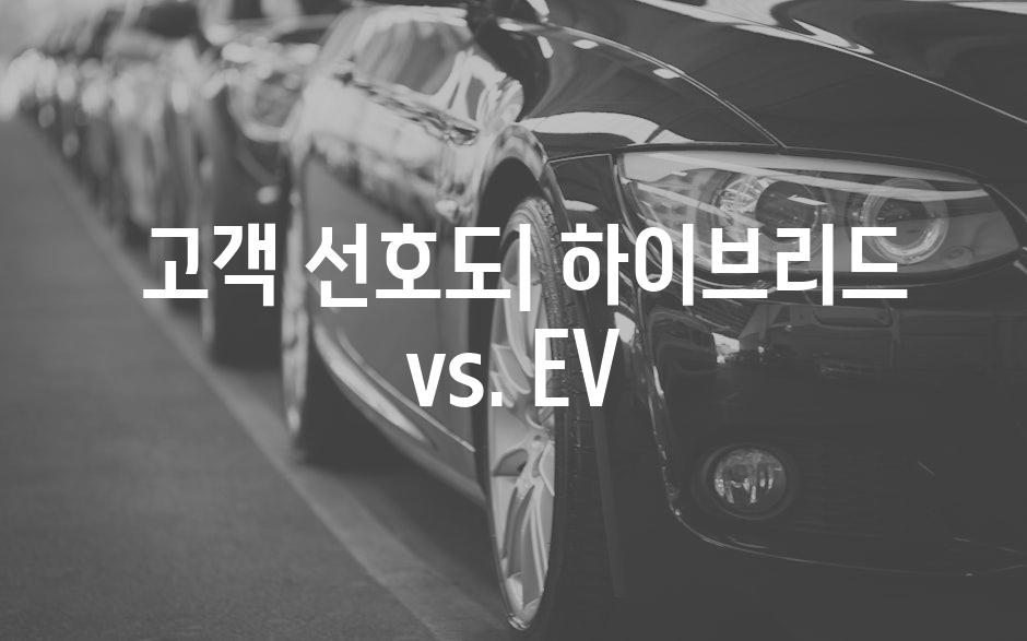  고객 선호도| 하이브리드 vs. EV