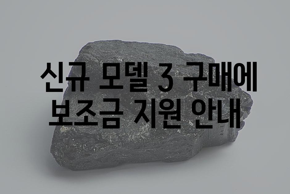  연방, 주별 전기차 인센티브 분석