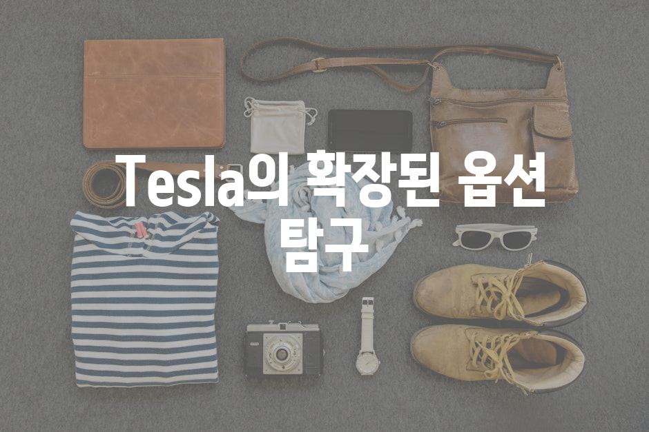  Tesla의 확장된 옵션 탐구