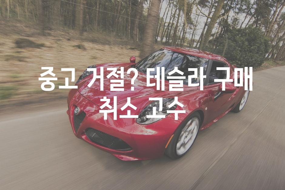  중고 거절? 테슬라 구매 취소 고수