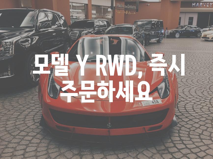  모델 Y RWD, 즉시 주문하세요