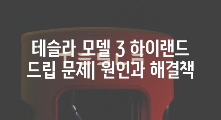 테슬라 모델 3 하이랜드 드립 문제| 원인과 해결책