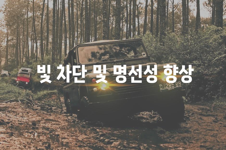  빛 차단 및 명선성 향상