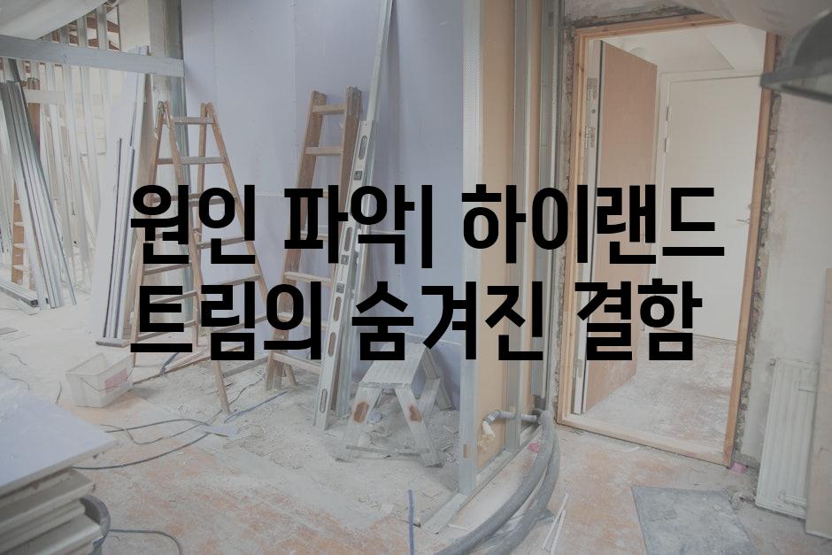  원인 파악| 하이랜드 트림의 숨겨진 결함