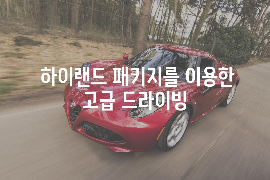  하이랜드 패키지를 이용한 고급 드라이빙