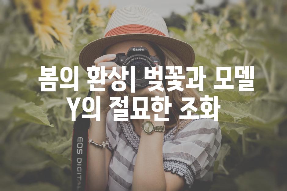  봄의 환상| 벚꽃과 모델 Y의 절묘한 조화