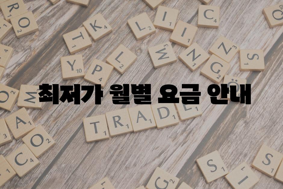  최저가 월별 요금 안내