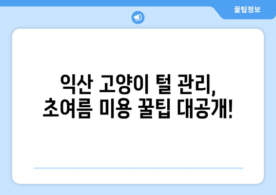 익산 고양이 털 관리, 초여름 미용 꿀팁 대공개! | 고양이 미용, 털 빠짐, 썸머 케어, 익산 동물병원