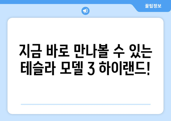 테슬라 모델 3 하이랜드| 바로 드려요! | 실시간 재고 확인 및 구매 가이드