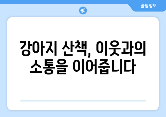 강아지 산책, 지역 사회에 어떤 변화를 가져올까요? | 반려동물, 공동체, 사회적 영향