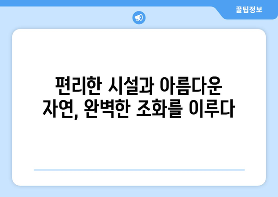 임진각 평화누리 캠핑장에서 만끽하는 평화로운 자연 속 휴식 | 가족, 연인, 친구와 함께 떠나는 힐링 여행