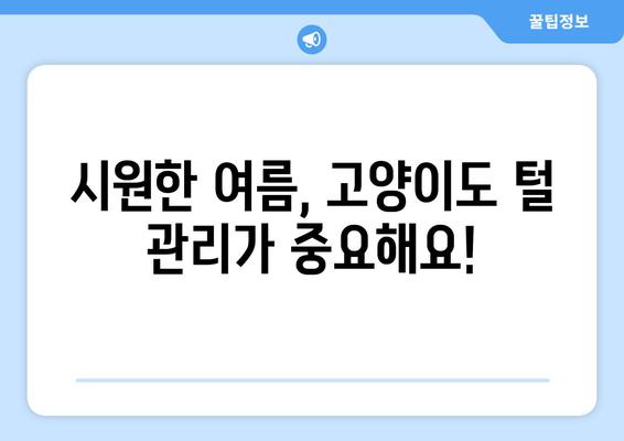 익산 고양이 털 관리, 초여름 미용 꿀팁 대공개! | 고양이 미용, 털 빠짐, 썸머 케어, 익산 동물병원