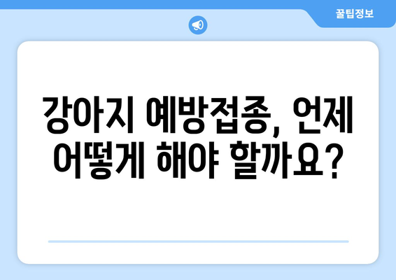 강아지 예방접종| 전문가가 알려주는 필수 정보 & 궁금증 해결 | 강아지 건강, 예방접종, 백신, 질병