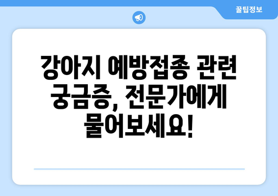 강아지 예방접종| 전문가가 알려주는 필수 정보 & 궁금증 해결 | 강아지 건강, 예방접종, 백신, 질병