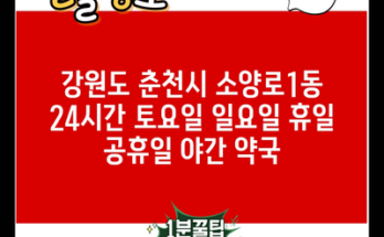 강원도 춘천시 소양로1동 24시간 토요일 일요일 휴일 공휴일 야간 약국