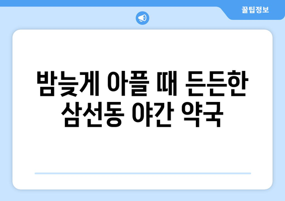 서울시 성북구 삼선동 24시간 토요일 일요일 휴일 공휴일 야간 약국