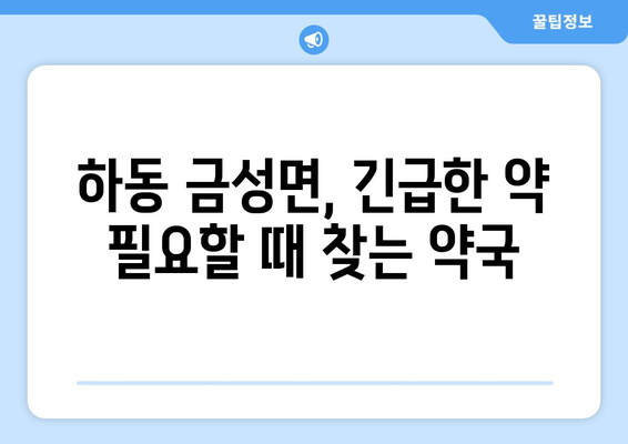 경상남도 하동군 금성면 24시간 토요일 일요일 휴일 공휴일 야간 약국