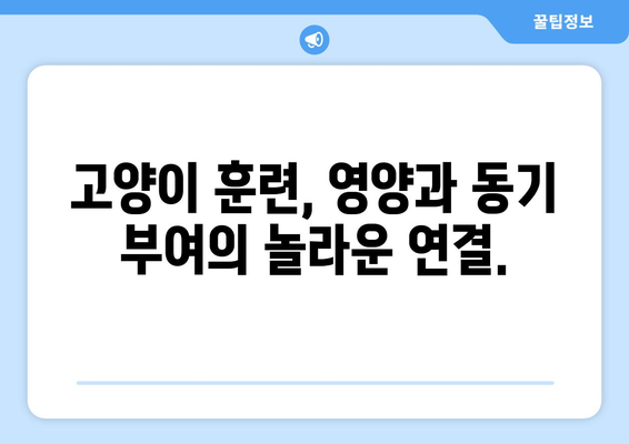 고양이 훈련 성공의 비밀| 영양과 동기 부여의 놀라운 연결 | 고양이 훈련, 건강, 행동 개선