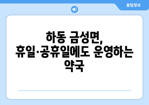 경상남도 하동군 금성면 24시간 토요일 일요일 휴일 공휴일 야간 약국