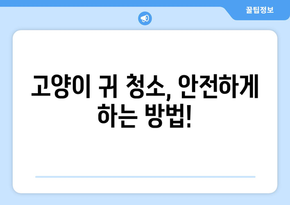 고양이 귀 건강 지키기| 똑똑한 고양이 귀 세정제 선택 가이드 | 고양이 귀 청소, 귀 세정제 추천, 귀 건강 관리