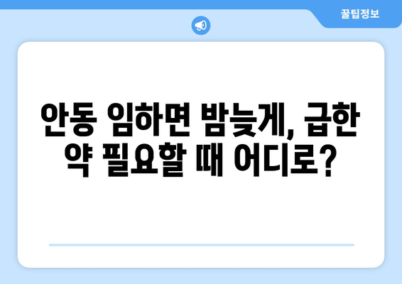 경상북도 안동시 임하면 24시간 토요일 일요일 휴일 공휴일 야간 약국