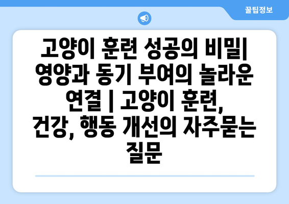 고양이 훈련 성공의 비밀| 영양과 동기 부여의 놀라운 연결 | 고양이 훈련, 건강, 행동 개선