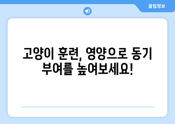 고양이 훈련 성공의 비밀| 영양과 동기 부여의 놀라운 연결 | 고양이 훈련, 건강, 행동 개선