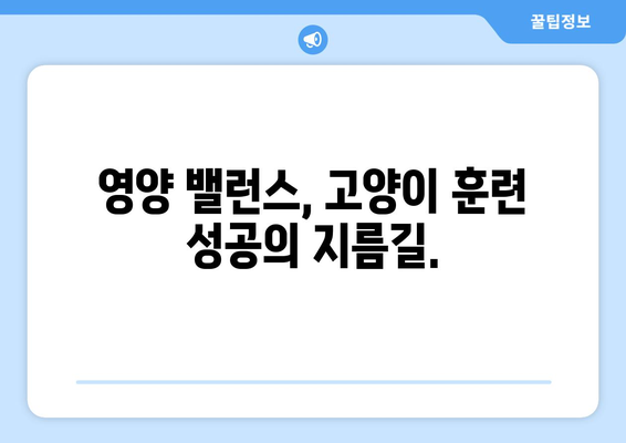 고양이 훈련 성공의 비밀| 영양과 동기 부여의 놀라운 연결 | 고양이 훈련, 건강, 행동 개선