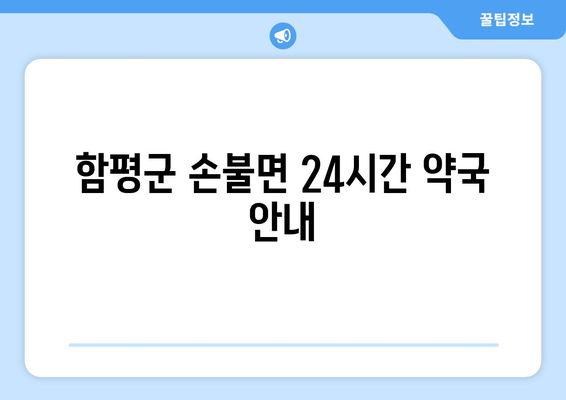 전라남도 함평군 손불면 24시간 토요일 일요일 휴일 공휴일 야간 약국