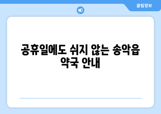 충청남도 당진시 송악읍 24시간 토요일 일요일 휴일 공휴일 야간 약국