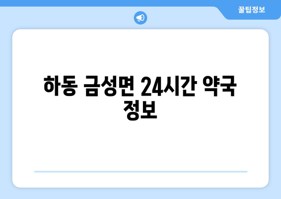 경상남도 하동군 금성면 24시간 토요일 일요일 휴일 공휴일 야간 약국