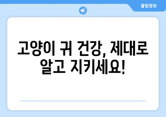 고양이 귀 건강 지키기| 똑똑한 고양이 귀 세정제 선택 가이드 | 고양이 귀 청소, 귀 세정제 추천, 귀 건강 관리