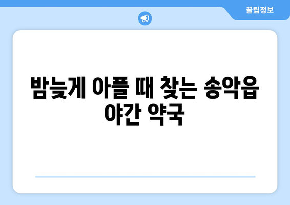 충청남도 당진시 송악읍 24시간 토요일 일요일 휴일 공휴일 야간 약국