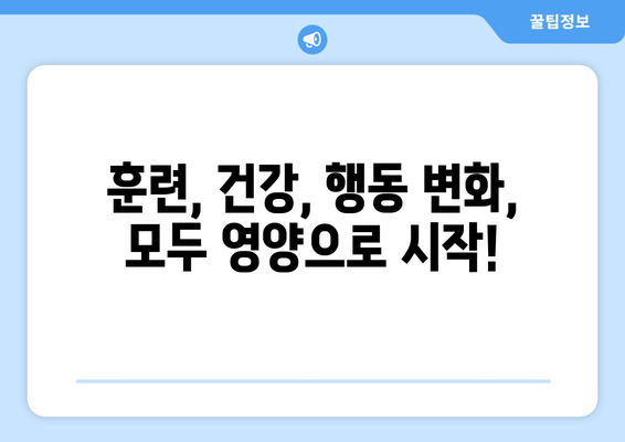 고양이 훈련 성공의 비밀| 영양과 동기 부여의 놀라운 연결 | 고양이 훈련, 건강, 행동 개선