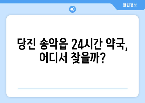 충청남도 당진시 송악읍 24시간 토요일 일요일 휴일 공휴일 야간 약국