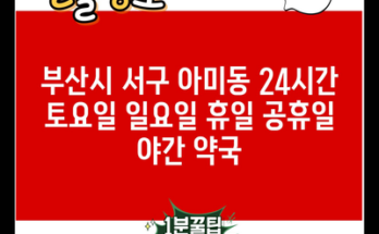 부산시 서구 아미동 24시간 토요일 일요일 휴일 공휴일 야간 약국