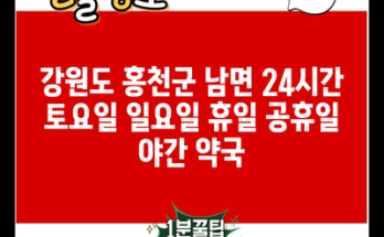 강원도 홍천군 남면 24시간 토요일 일요일 휴일 공휴일 야간 약국