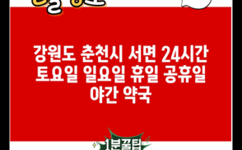 강원도 춘천시 서면 24시간 토요일 일요일 휴일 공휴일 야간 약국