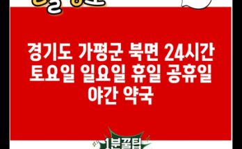 경기도 가평군 북면 24시간 토요일 일요일 휴일 공휴일 야간 약국