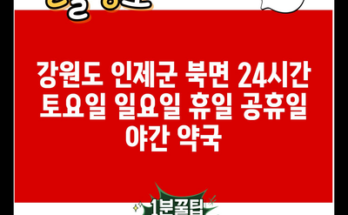 강원도 인제군 북면 24시간 토요일 일요일 휴일 공휴일 야간 약국