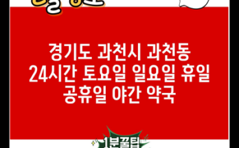 경기도 과천시 과천동 24시간 토요일 일요일 휴일 공휴일 야간 약국