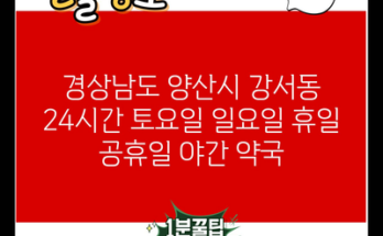 경상남도 양산시 강서동 24시간 토요일 일요일 휴일 공휴일 야간 약국