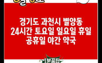 경기도 과천시 별양동 24시간 토요일 일요일 휴일 공휴일 야간 약국