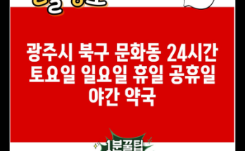 광주시 북구 문화동 24시간 토요일 일요일 휴일 공휴일 야간 약국