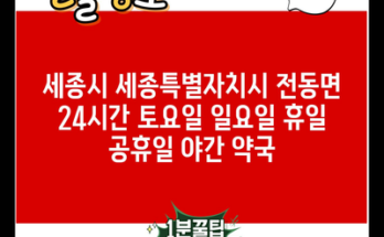 세종시 세종특별자치시 전동면 24시간 토요일 일요일 휴일 공휴일 야간 약국