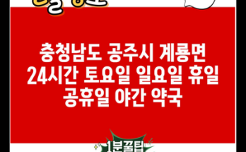 충청남도 공주시 계룡면 24시간 토요일 일요일 휴일 공휴일 야간 약국