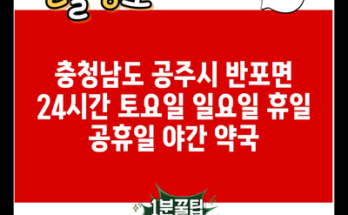 충청남도 공주시 반포면 24시간 토요일 일요일 휴일 공휴일 야간 약국