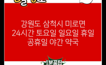 강원도 삼척시 미로면 24시간 토요일 일요일 휴일 공휴일 야간 약국