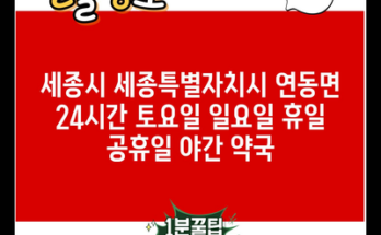 세종시 세종특별자치시 연동면 24시간 토요일 일요일 휴일 공휴일 야간 약국